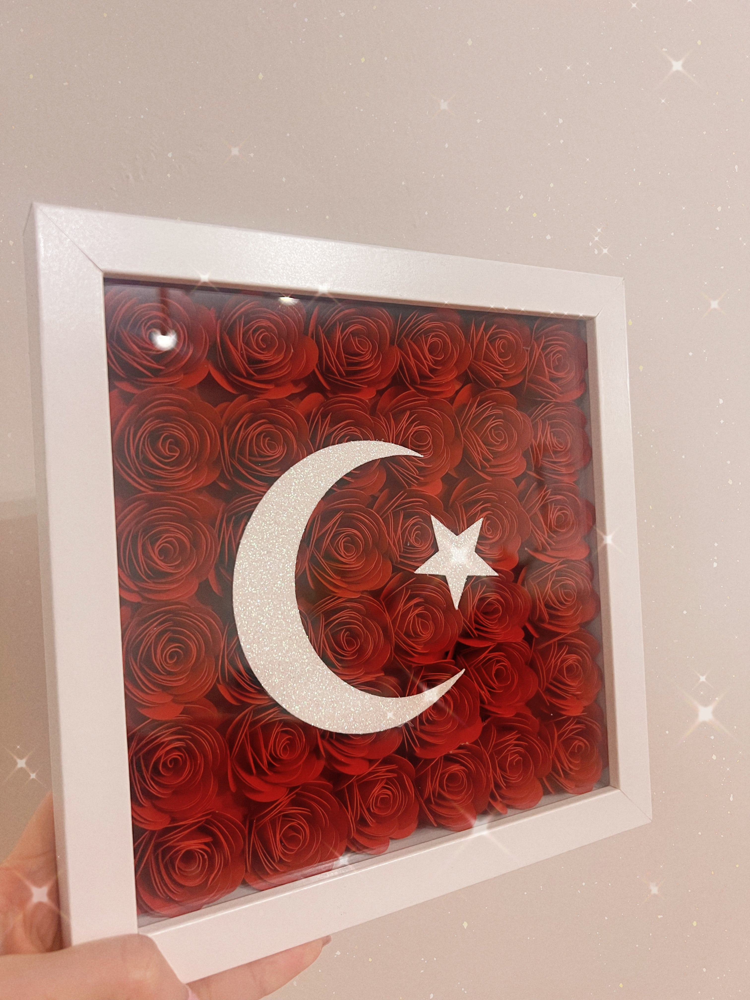 Turkish Flag