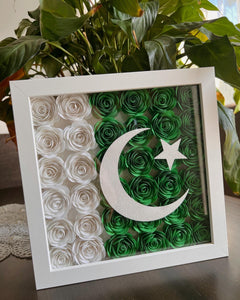 Pakistani flag