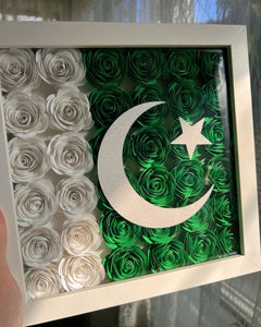 Pakistani flag